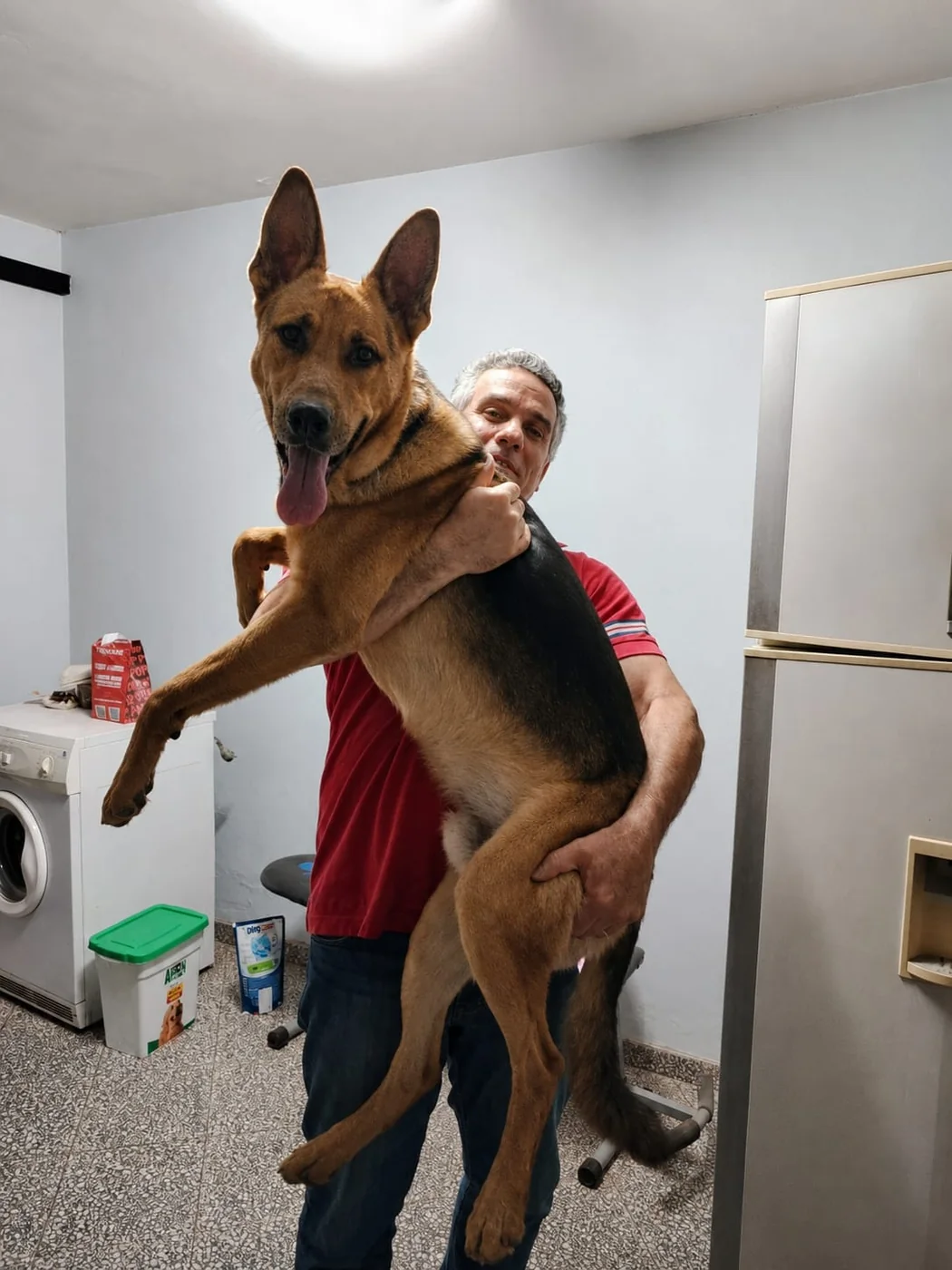 Mascota representando el espíritu pet friendly de TECNICAT