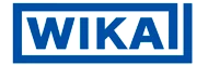 Partner tecnológico WIKA de TECNICAT