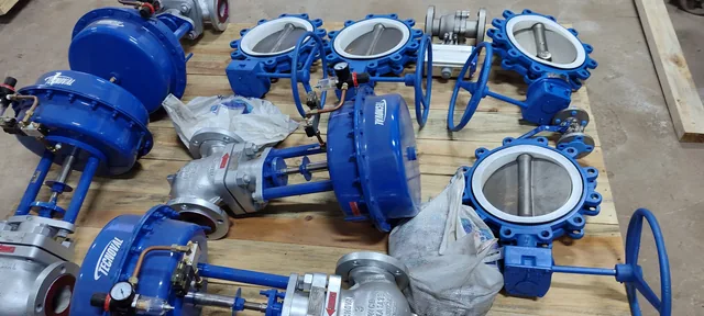 Conjunto de válvulas de control y mariposa Tecnoval para proceso industrial